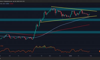 What's Next for ADA After 5% Daily Surge?