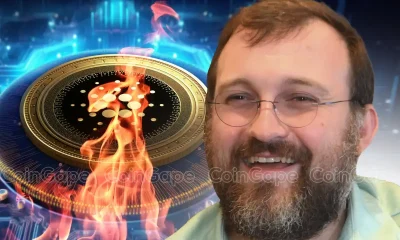 Why Cardano Founder Burned $100M Worth of ADA Meme Coin?