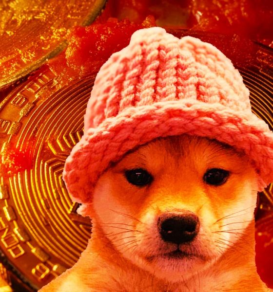 ‘Nice Signs of Life’ Starting To Form on Solana-Based Memecoin dogwifhat, Says Trader – But There’s a Catch