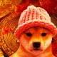 ‘Nice Signs of Life’ Starting To Form on Solana-Based Memecoin dogwifhat, Says Trader – But There’s a Catch
