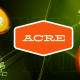 Bitcoin Staking Platform Acre Raises $4M – What It Means for BTC Holders?