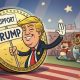 Assessing the $342M TRUMP transfer and its effect on memecoin's price