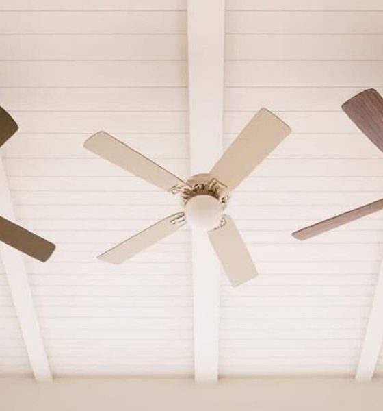 Best Atomberg fans: Our top 10 models come with the latest technology and styles to keep up with your needs at home