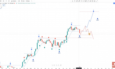 Bitcoin cycle analysis