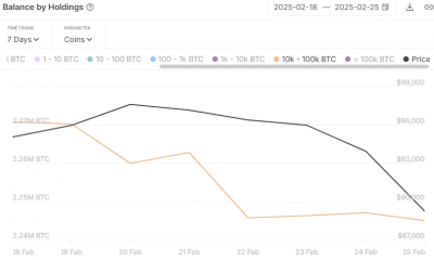 Bitcoin Mega Whales