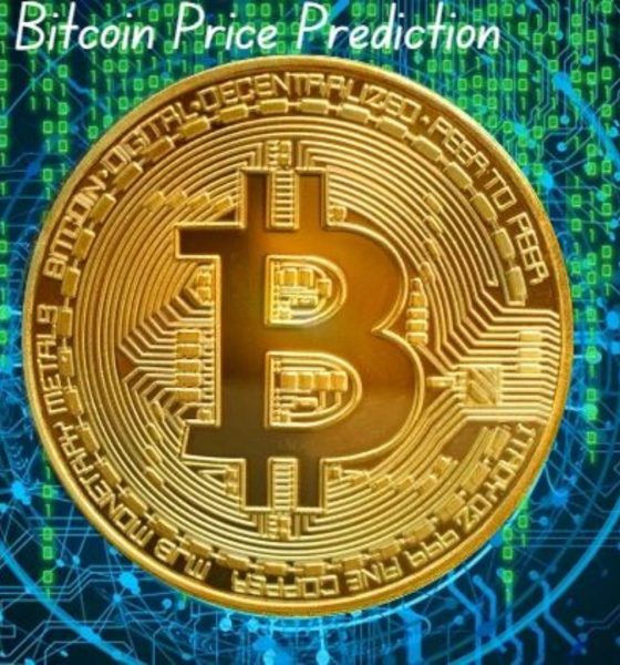 Bitcoin Price Rises to New Record Highs On Trump FOMO Fuel