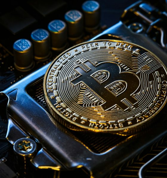 Bitcoin Volatility ‘Relatively Low’ Despite Market Shakeouts