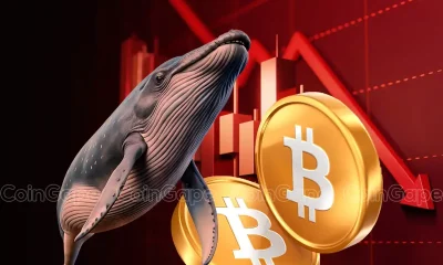 Bitcoin Whale Lost $14M Amid Recent Crypto Market Crash 