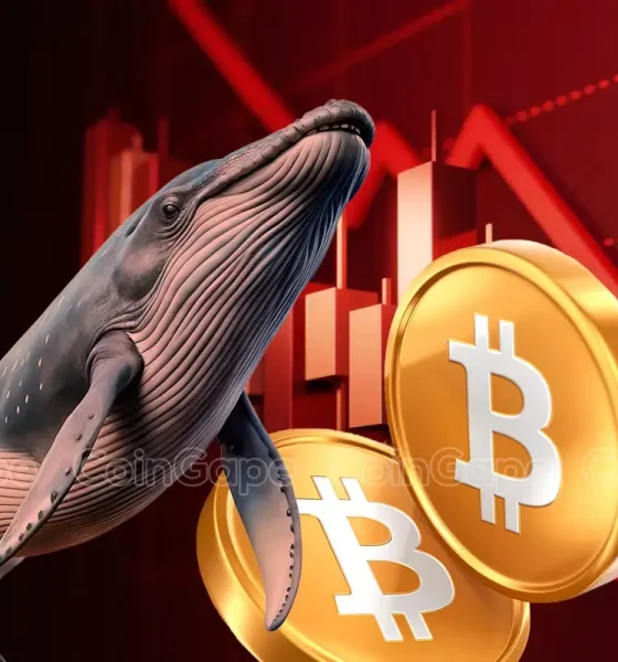 Bitcoin Whale Lost $14M Amid Recent Crypto Market Crash 