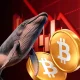 Bitcoin Whale Lost $14M Amid Recent Crypto Market Crash 