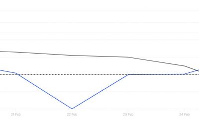 Bitcoin Large Holders Netflow