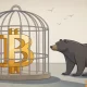 Bitcoin bear market could unfold if THESE levels break