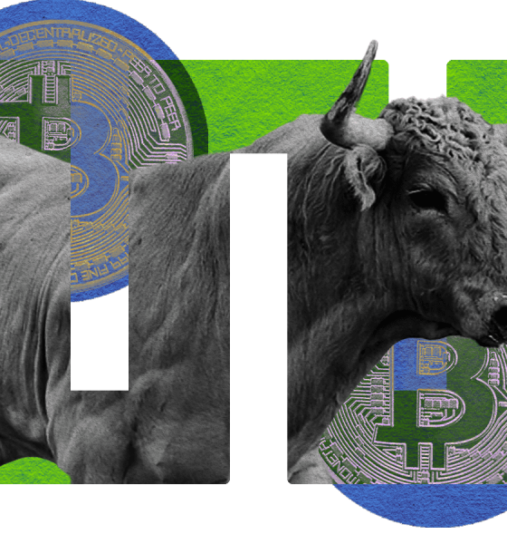Bitcoin bull market nears 800th day, altcoin season still far away