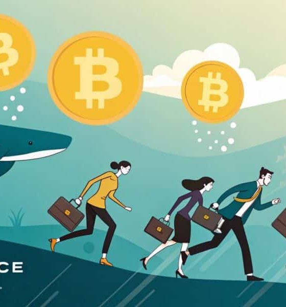 Bitcoin's retail investors deposits on Binance outpaces whales