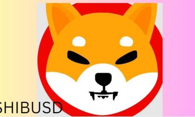 Can It Recover Amid Bearish Momentum?