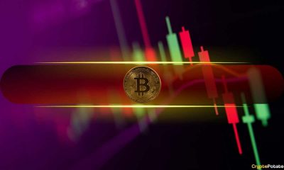 Crypto Markets Shed Over $100B as BTC Slumped to $95K (Weekend Watch)