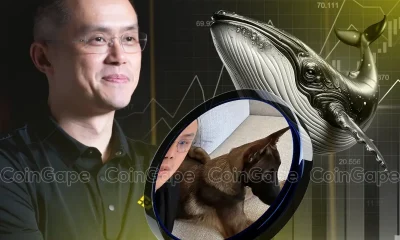 Crypto Whale Bets Big On Binance founder Changpeng Zhao CZ's Dog, BROCCOLI Price Rockets 160%