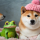 Degens, Rejoice: Meme Coins Are Not Securities, Says SEC