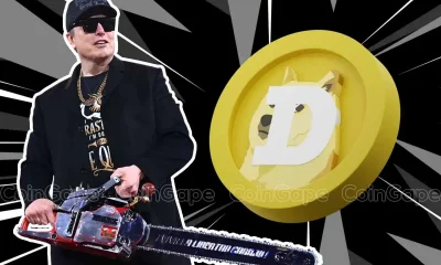 Did Elon Musk Kill Dogecoin's Popularity? Will DOGE Price Recover as Investors Flee?