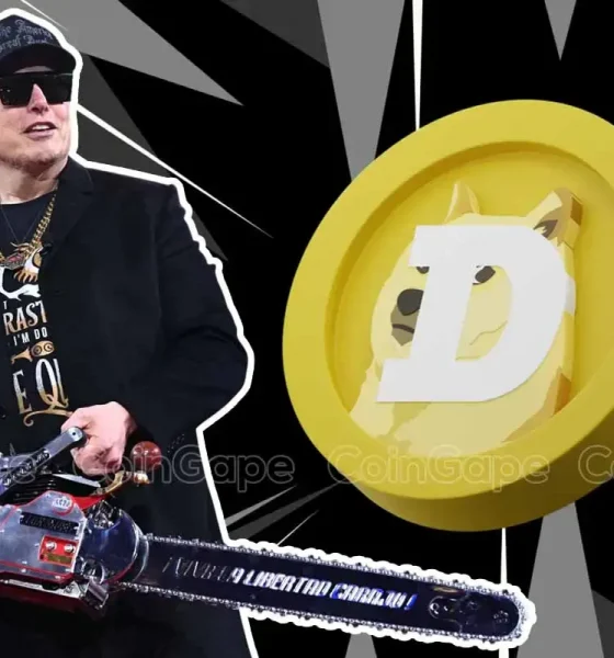 Did Elon Musk Kill Dogecoin's Popularity? Will DOGE Price Recover as Investors Flee?