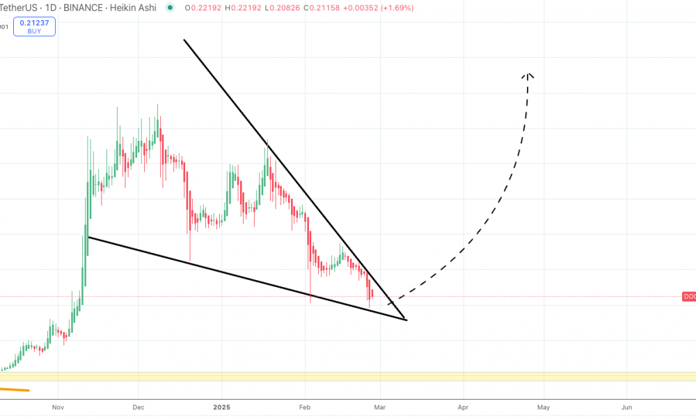 Dogecoin monster falling wedge pattern
