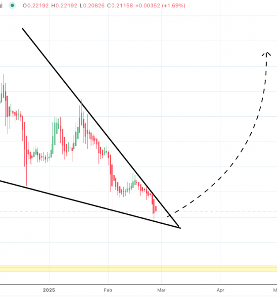 Dogecoin monster falling wedge pattern