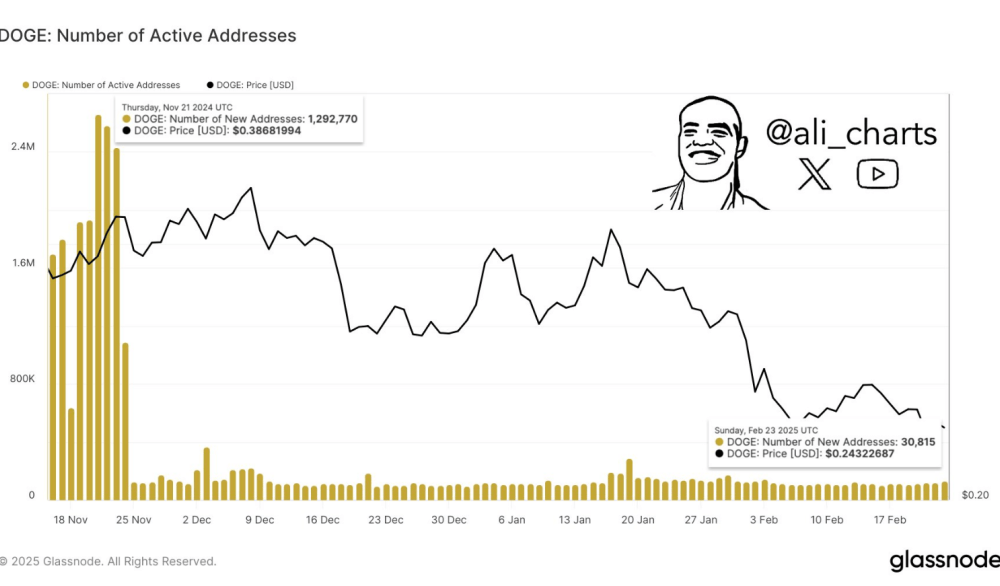 Dogecoin Sees 95% Drop in Network Activity—Trouble Ahead?