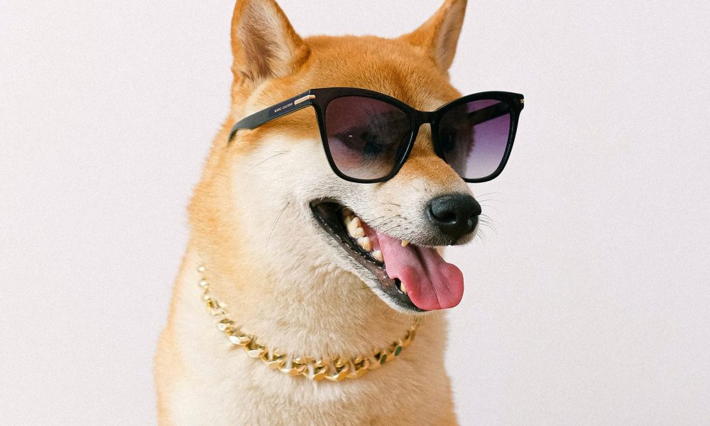 Dogecoin To $1.35? Analyst Predicts Milestone ‘Within 70 Days’