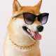 Dogecoin To $1.35? Analyst Predicts Milestone ‘Within 70 Days’