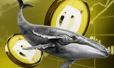 Dogecoin Whales Grab 110M DOGE Amid Recent Dip, Is A Breakout Brewing?