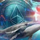 Ethereum Whale Buys $14.5M ETH in Recent Market Dip: Price Recovery Imminent?