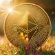 Ethereum's Pectra Upgrade Stalls on Testnet With Several Blocks Missed