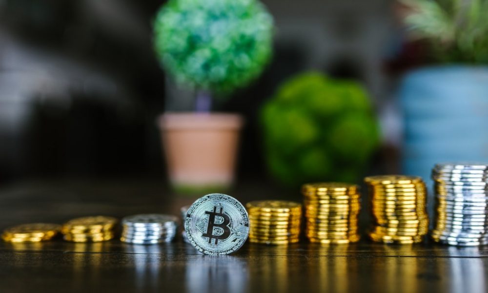 Exploring the world of meme coins