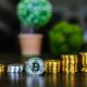 Exploring the world of meme coins