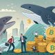 How Bitcoin's whales and sharks can take advantage of 'oversensitive' retailers