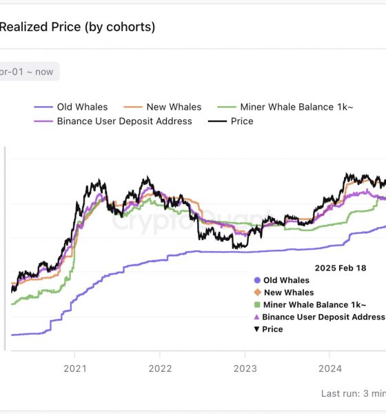 Bitcoin Realized Price