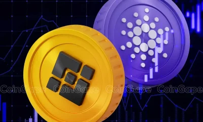 Is BNB Price Forecasting What Cardano Could Do Next?