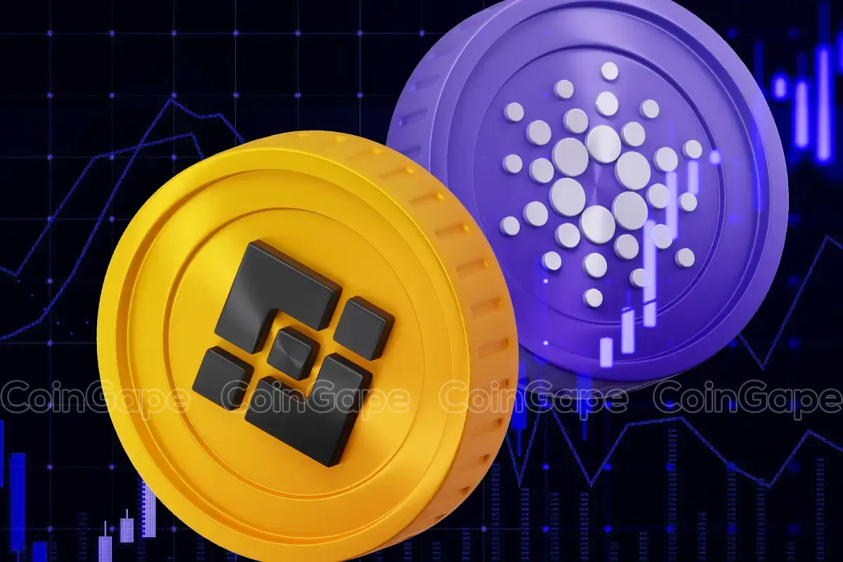 Is BNB Price Forecasting What Cardano Could Do Next?