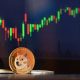 Is Dogecoin Mirroring Pepe? A Drop To $0.2 Could Be Imminent For DOGE