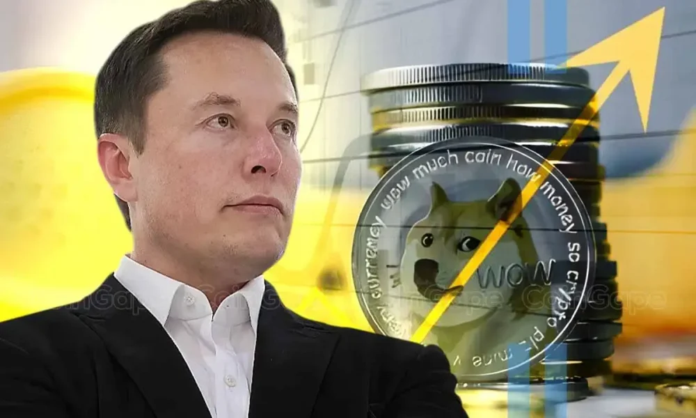 Is Elon Musk Undermining CFPB to Boost X Crypto & DOGE Payments?