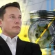 Is Elon Musk Undermining CFPB to Boost X Crypto & DOGE Payments?