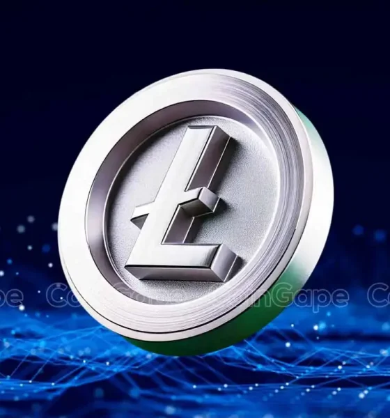 Litecoin Whales On Buying Spree Sack 930K Coins Amid LTC ETF Buzz, What's Next?