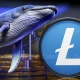 Litecoin Whales Quietly Accumulate $130M as Price Flatlines – Is a Breakout Imminent?