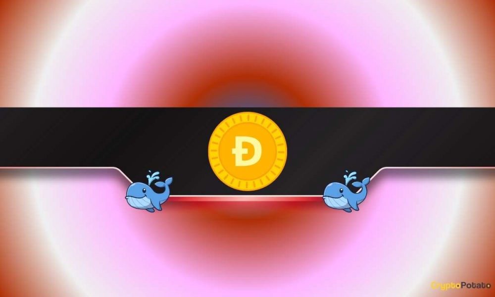 More Pain Ahead for DOGE?