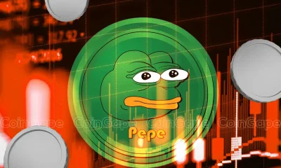 Pepe Price Drops 6%, But These 3 Cryptos Can Still Earn You Profits