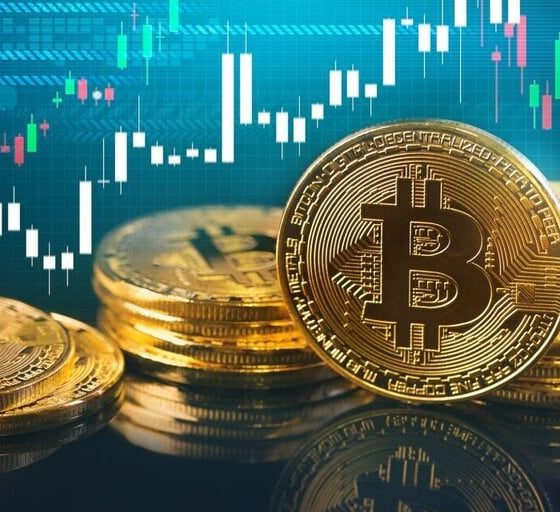 Professor Coin: Do Managed Crypto Funds Outperform the Market?