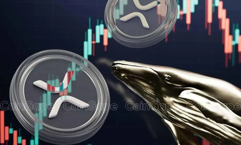 XRP News: Ripple Whale Bags 20M Coins Amid Recent Dip, What's Happening?