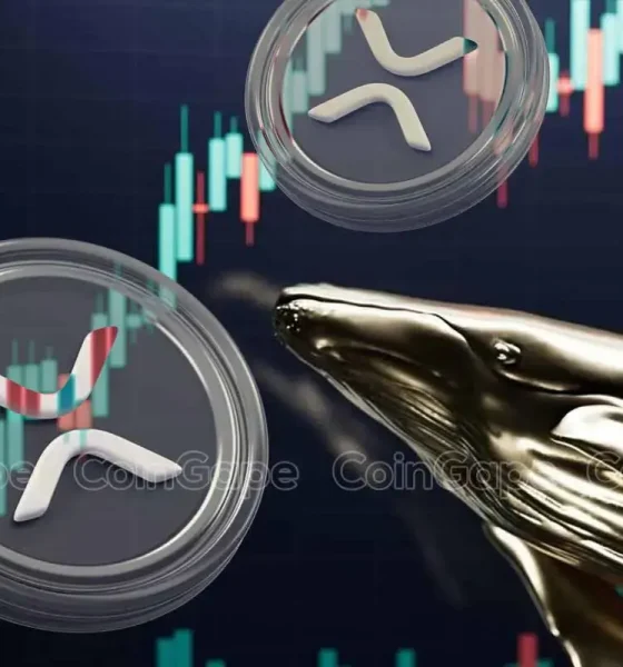 XRP News: Ripple Whale Bags 20M Coins Amid Recent Dip, What's Happening?