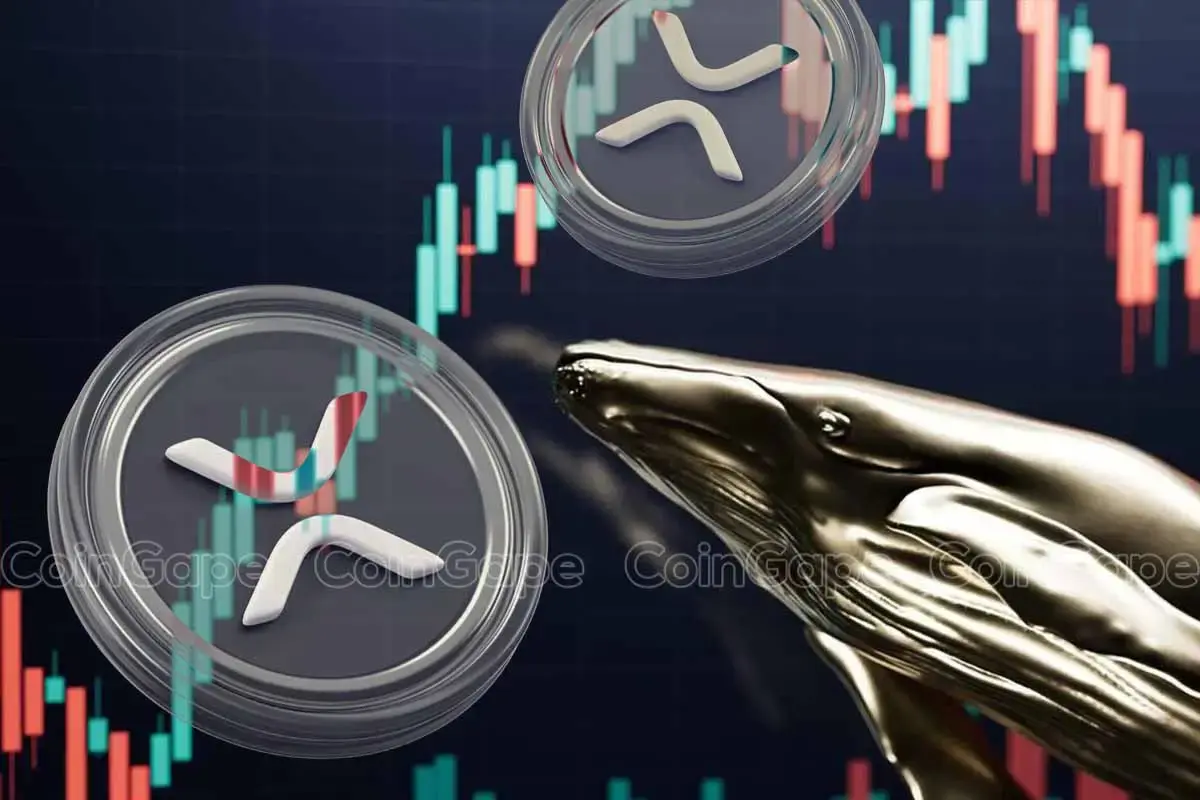 XRP News: Ripple Whale Bags 20M Coins Amid Recent Dip, What's Happening?