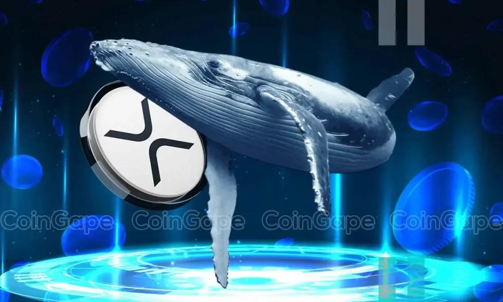 XRP News: Ripple Whales Move 430M XRP As Brad Garlinghouse Confirms Crypto Policy Shift